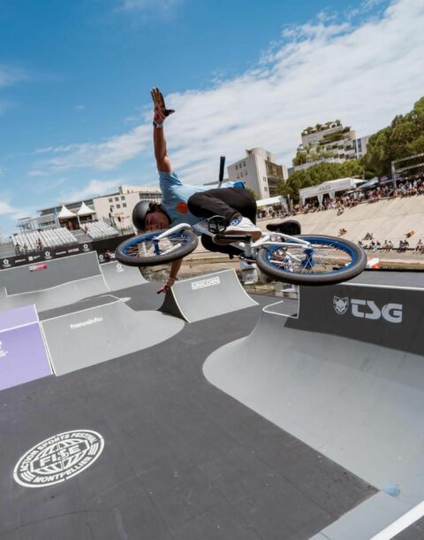 FISE MONTPELLIER